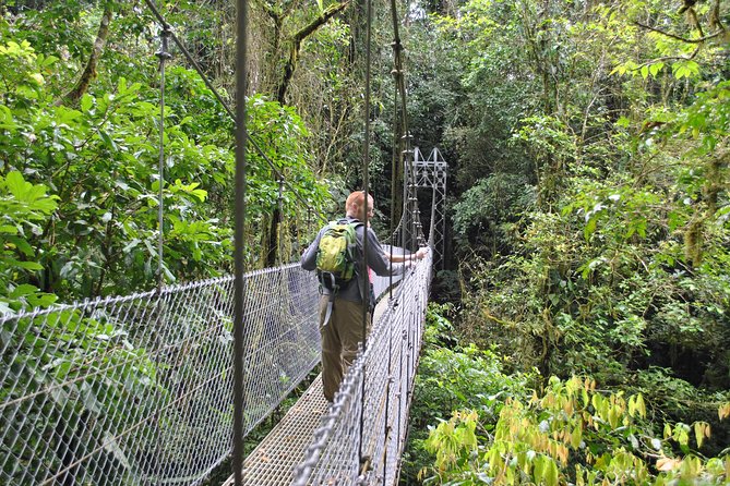 La Fortuna Waterfall, Hanging Bridges, Arenal Volcano Combo Tour - Tour Guide Feedback