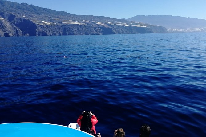 La Palma Dolphin and Whale Cruise - Scenic Exploration Stops