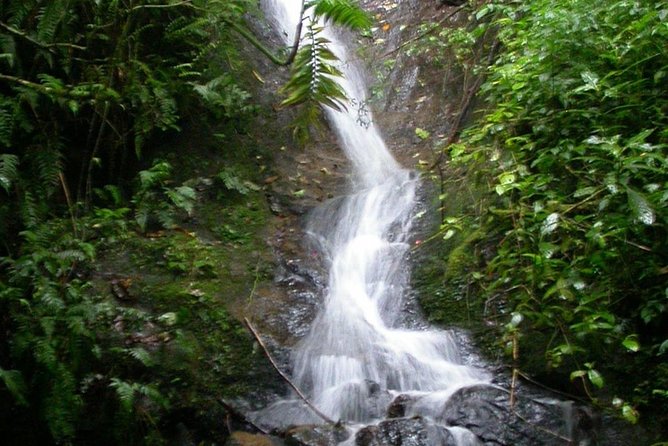 La Paz Waterfalls - Tour Schedule and Operations