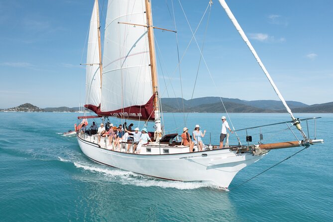 Lady Enid Sailing to Langford Island & Snorkelling - Adults Only - Snorkeling Experience