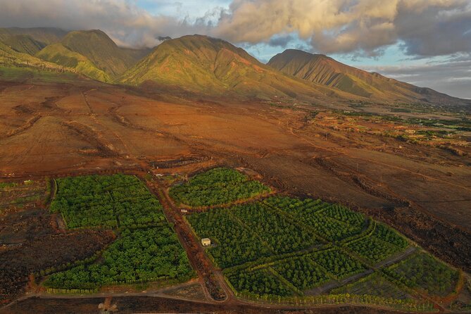 Lahaina: Maui Kuia Estate Guided Cacao Farm Tour and Tasting - Customer Feedback Insights