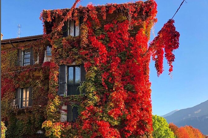 Lake Como and Bellagio Day Trip From Milan - Traveler Feedback and Reviews