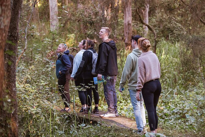 Lake Cruise and Nature Walk in Lake Macquarie - Wildlife Encounters: Natures Residents