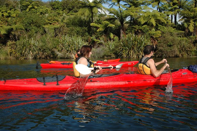 Lake Rotoiti Guided Hot Pools Kayak Trip - Booking Information