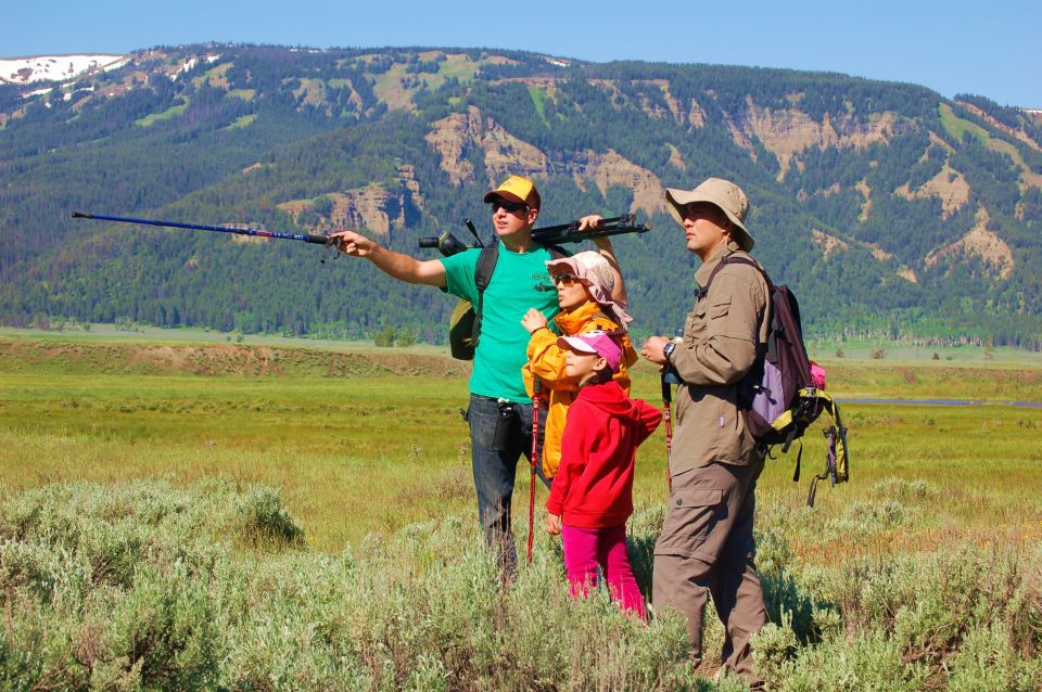 Lamar Valley: Safari Hiking Tour With Lunch - Activity Details