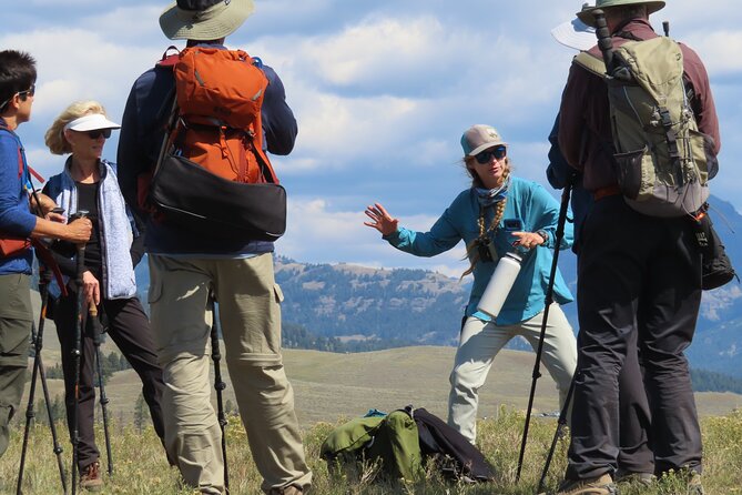 Lamar Valley Safari Hiking Tour With Lunch - Inclusions and Meeting Point