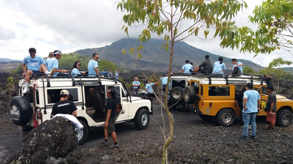 Land Rover Jeep 4x4 Tour Kintamani & Ubud Swing - Included Services