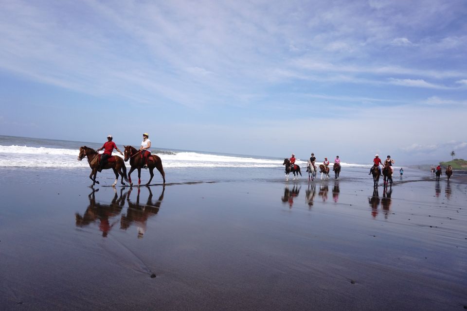 Langudu: Horse Riding on the Beach and in the Rice Fields - Inclusions