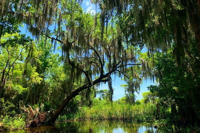 Large Airboat Swamp Tour With Transportation From New Orleans - Tour Inclusions