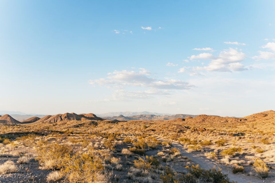 Las Vegas: Guided Las Vegas Desert ATV Tour - Group Size Limit