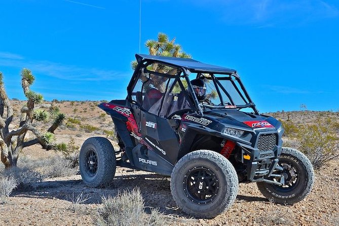 Las Vegas Off Road Mojave Desert Tour - Participant Requirements and Recommendations