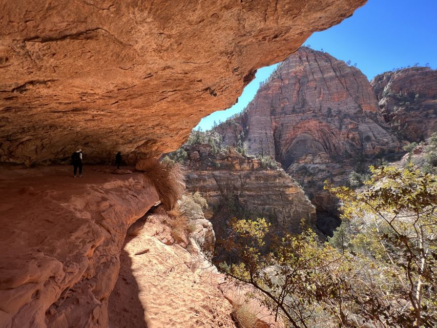 Las Vegas: VIP Guided Photography & Hiking Tour of Zion NP - Tour Highlights