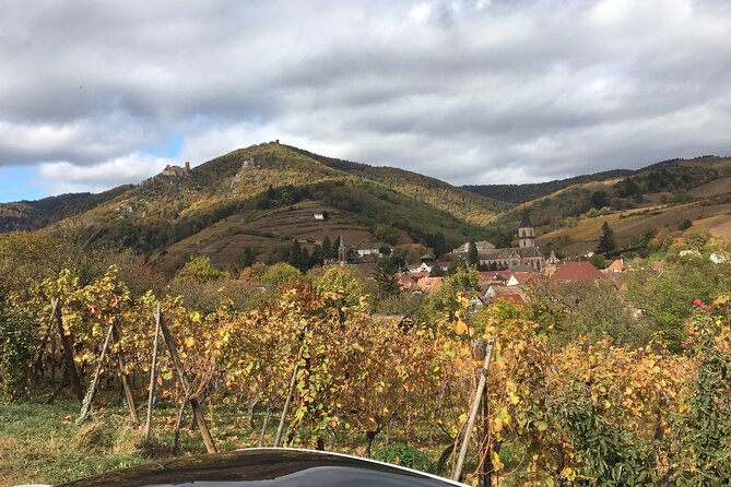 Le Petit Alsacien" Tour With Local Private Friendly Driver and a Tesla - Wine Tasting Details