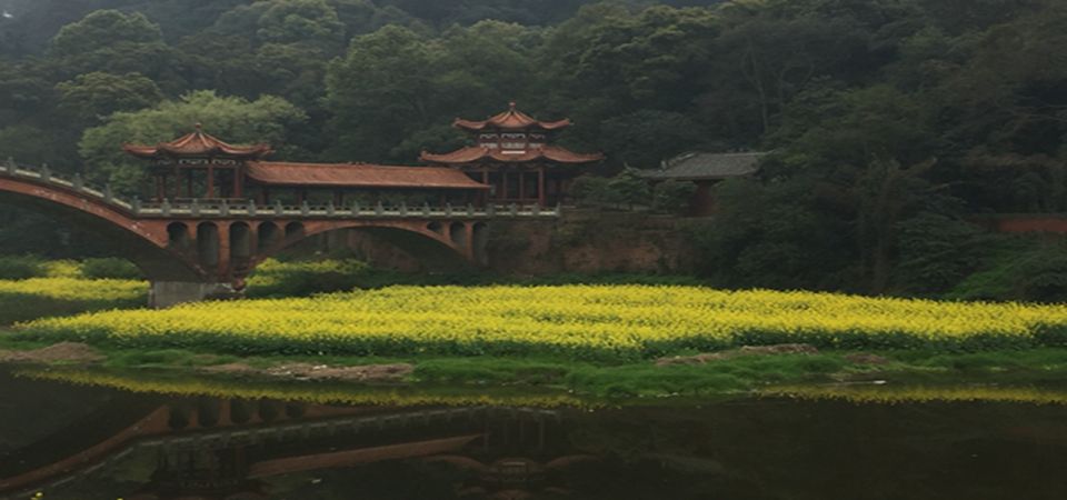 Leshan Buddha, Tea House&Mt. Emei 2 Days Private Tour - Participant Selection and Date Availability