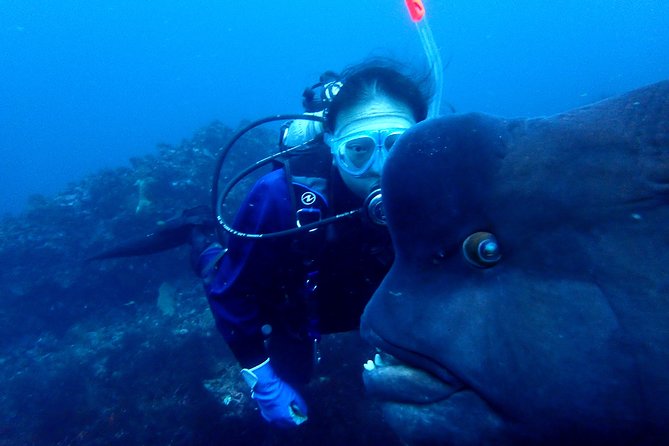 Lets Enjoy Scuba Diving in Izu Oceanic Park Izu Peninsula for Certificate Diver - Reviews and Ratings