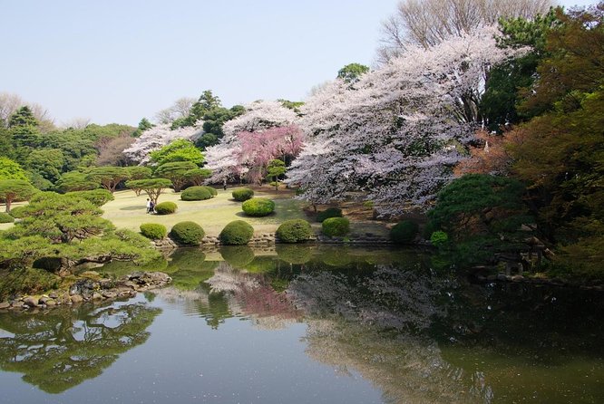 Licensed Guide Shinjuku Dramatic Tour Day Time (Tokyo) - Inclusions