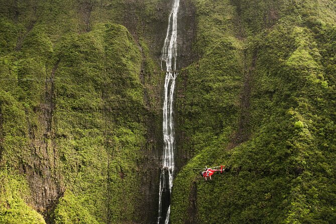 Lihue 4-Guest Open-Door Helicopter Ride (Mar ) - Customer Reviews