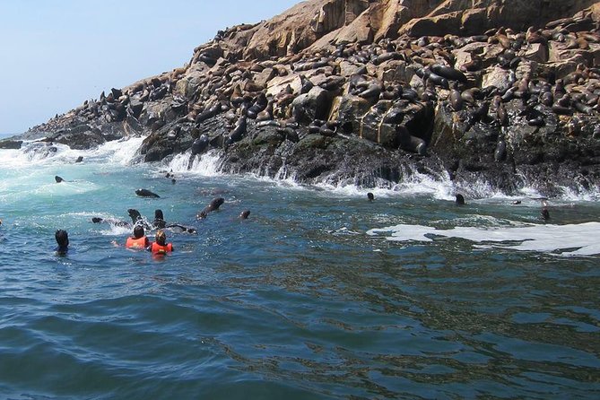 Lima: Palomino Islands Excursion & Swimming With Sea Lions With Hotel Transfers - Logistics and Policies