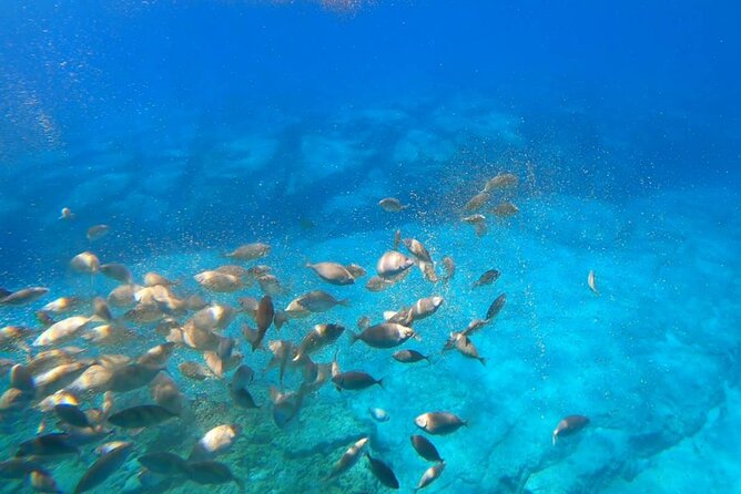 Lindos Glass-Bottom Boat Tour With Swimming  - Rhodes - Inclusions and Equipment Provided