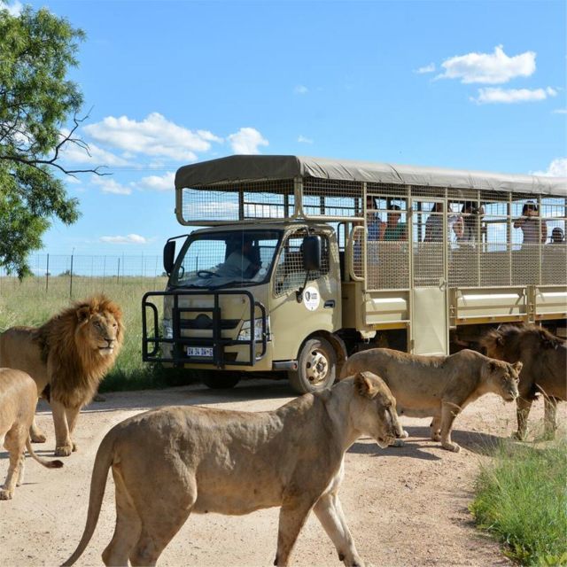 Lion Park Tour in Open Safari Vehicle - Highlights of the Tour