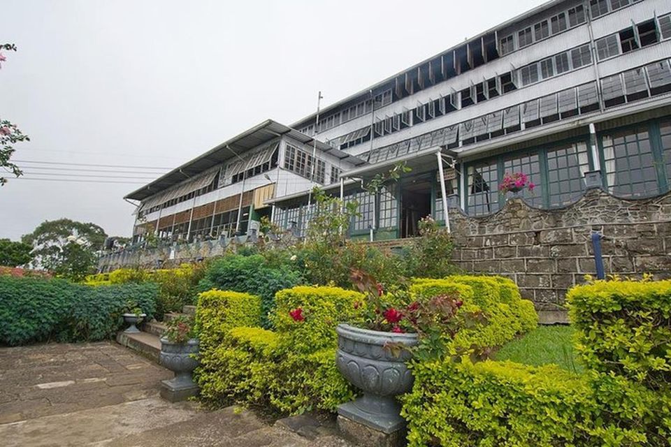 Lipton's Seat and Tea Factory & Tea Plantation Day Tour - Activity Details