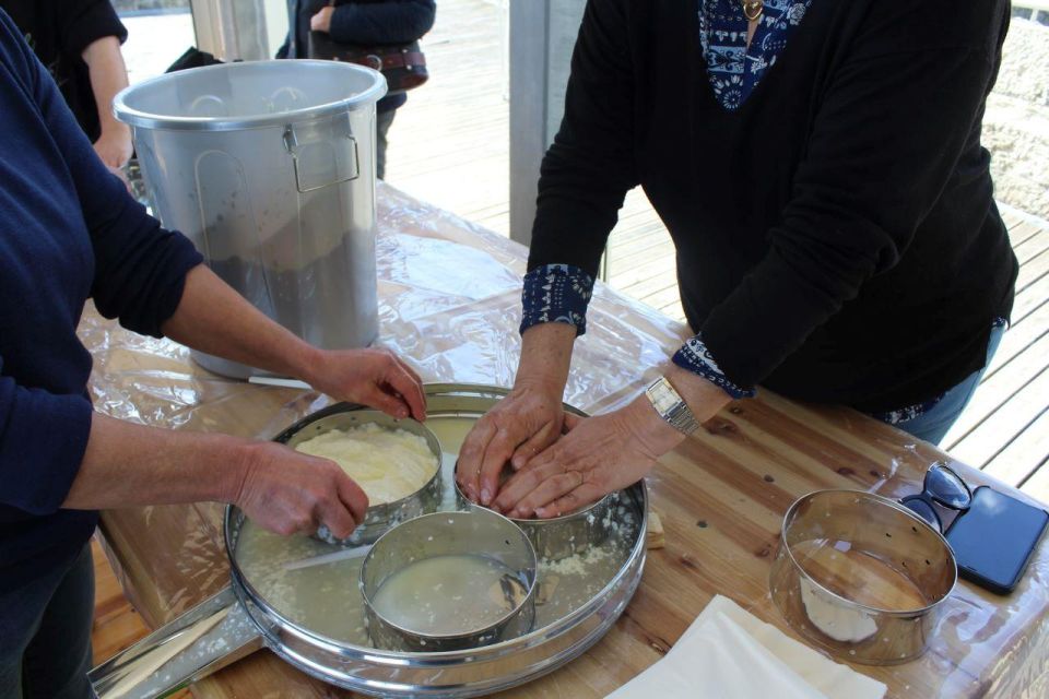 Lisbon: Azeitão Cheese Workshop With Wine & Food Tasting - Detailed Itinerary