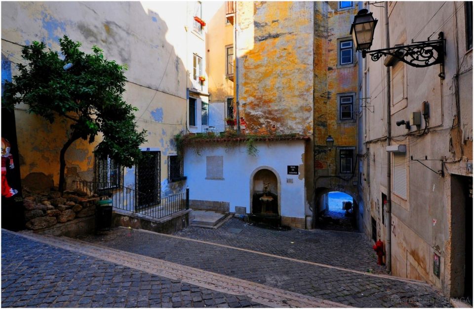 Lisbon: Jewish Quarter Guided Walking Tour - Live Tour Guide Information