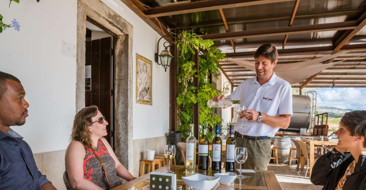 Lisbon Private Setúbal Region Wine Tasting Tour - Pickup and Transportation Details