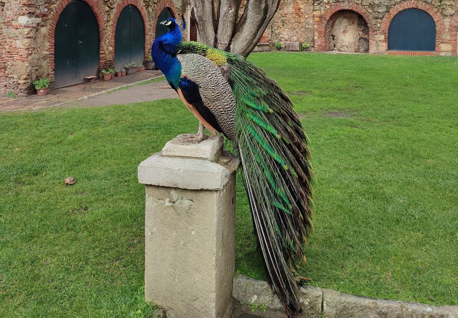 Lisbon: Saint George's Castle Guided Tour With Entry Ticket - Language and Guide Information