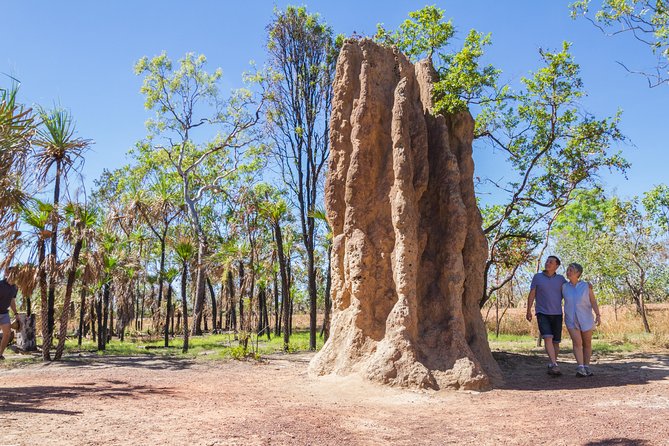 Litchfield National Park Day Tour From Darwin - Accessibility Information