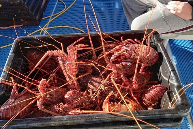 Lobster Fishing Tour at Geraldton - Meeting and Pickup Details