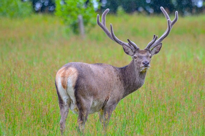 Loch Shiel Cruise: History, Monuments, and Harry Potter  - The Scottish Highlands - Harry Potter Connections