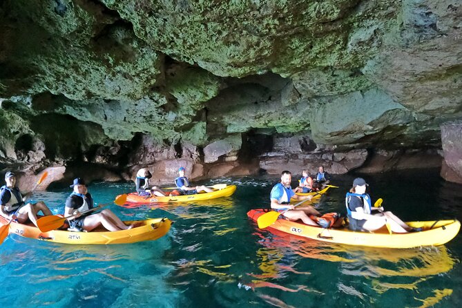 Lomo Quiebre Small-Group Mogan Caves Kayak Tour (Mar ) - Reviews and Feedback