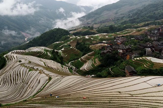 Longji Rice Terraces and Minority Village Day Tour - Pricing and Booking