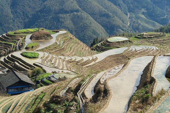 Longji Rice Terraces and Pingan Private Self-Guided Tour  - Guilin - Traveler Photos and Additional Info