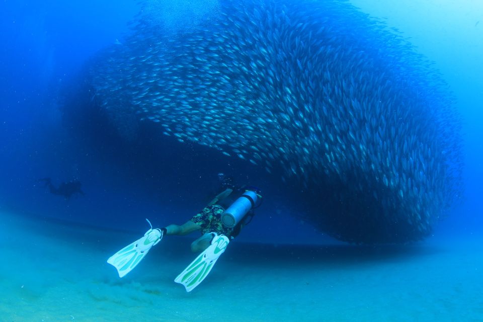 Los Cabos 3-Hour Certified Scuba Diving Tour - Dive Locations