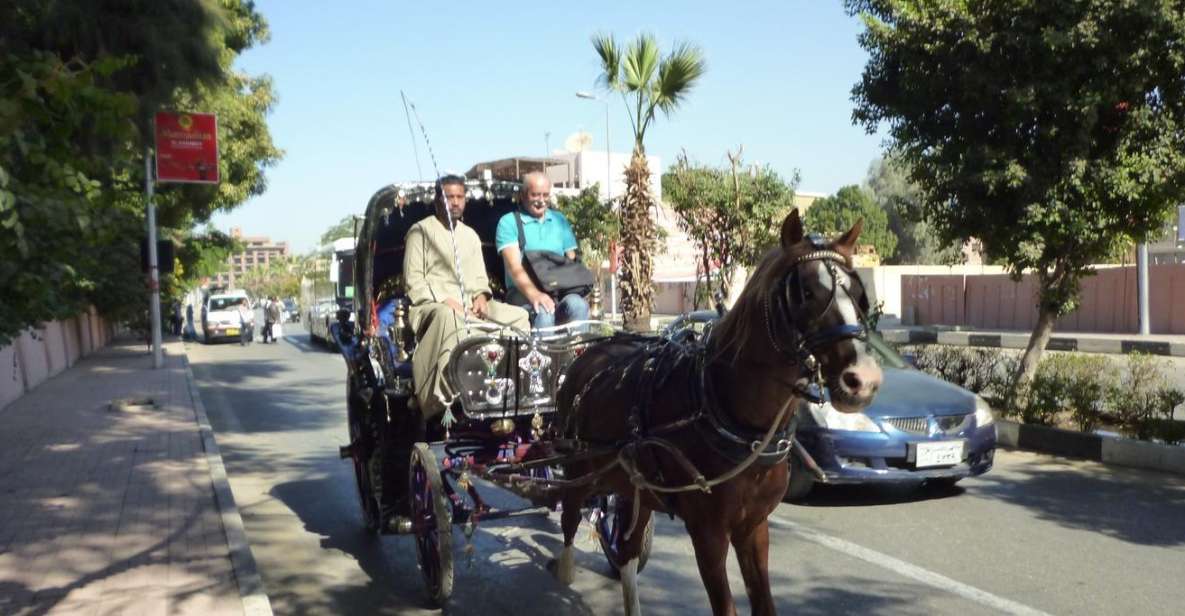 Luxor: City Tour by Horse Carriage From the East Bank - Itinerary Information