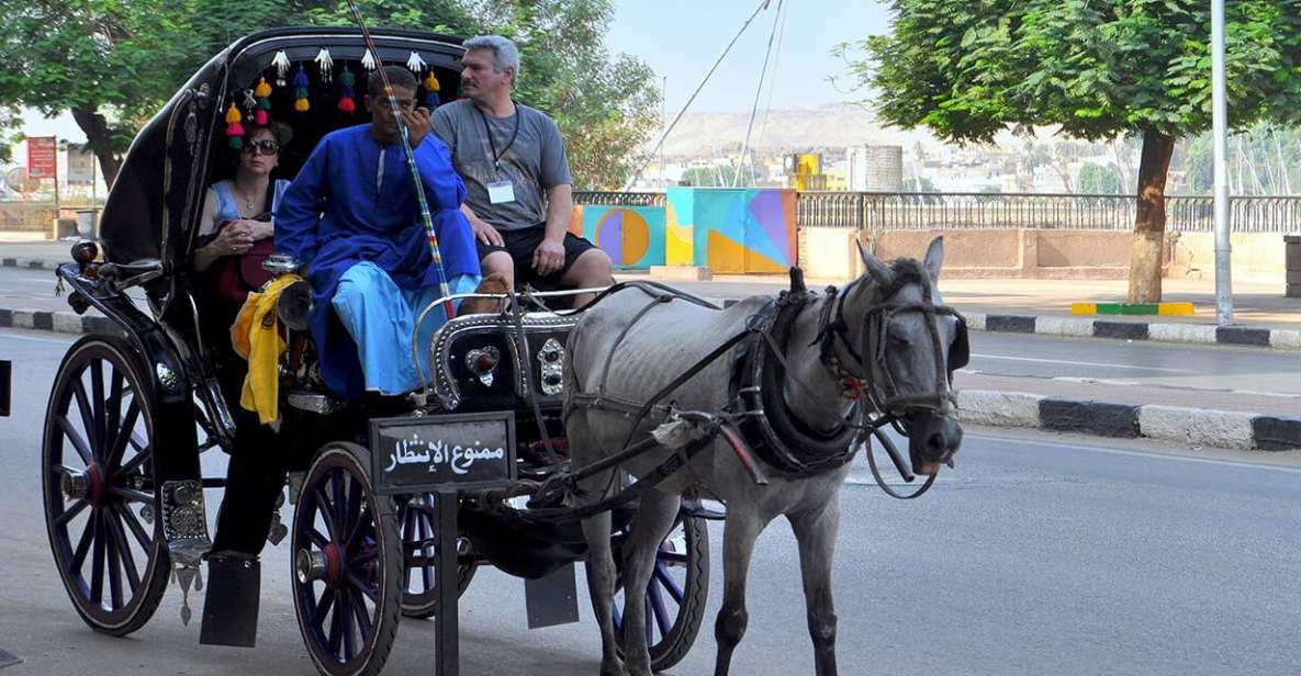 Luxor : Luxor City Tour By Horse Carriage - Experience Highlights