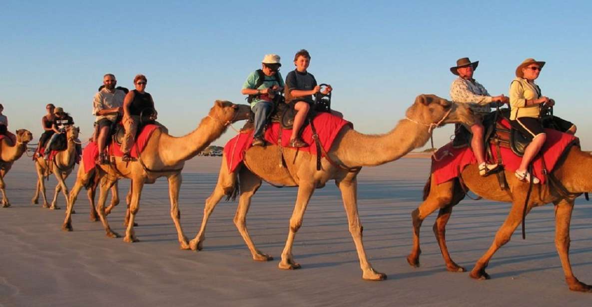 Luxor: Scenic Camel or Horse Ride - Booking Process