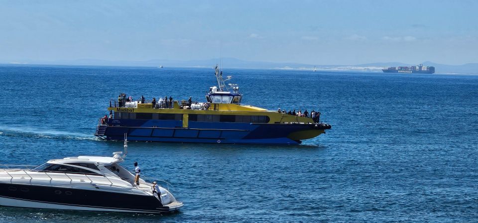 Luxury Boat Cruise From the V&A Waterfront - Location and Area Overview