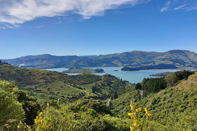 Lyttelton Shore Excursion: Christchurch Sightseeing With Jet Boating - Customer Experiences