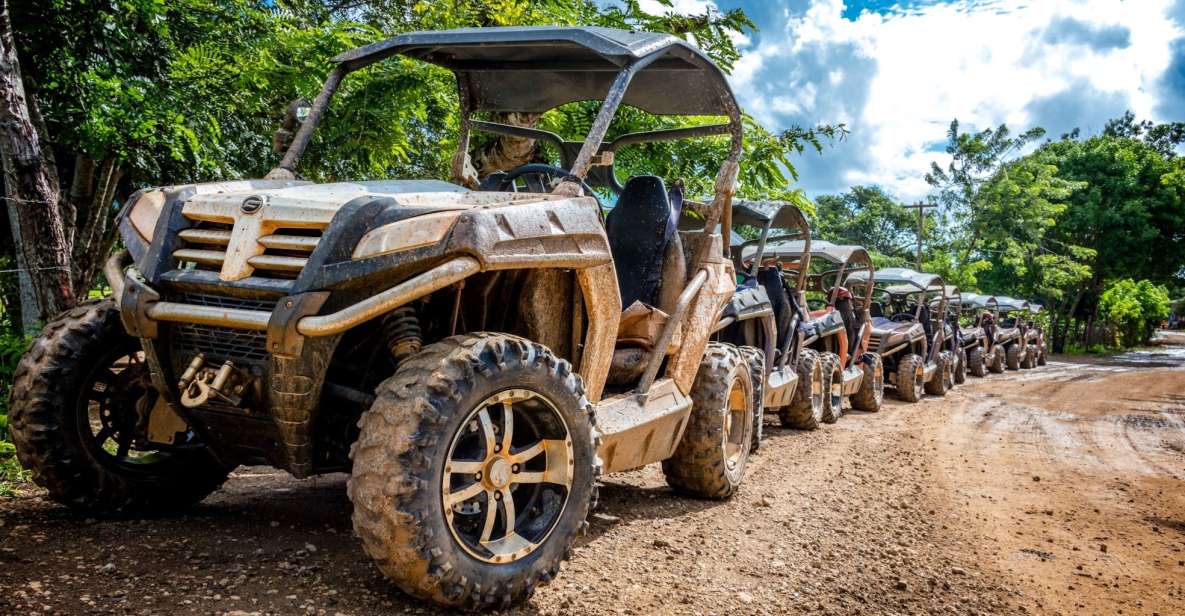 Macao Beach: Buggy Safari and Cenote Swimming With Pickup - Similar Activities