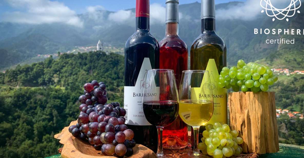 Madeira: Cabo Girão, Wine Tasting, & Serra D'água Jeep Tour - Pricing and Booking Details
