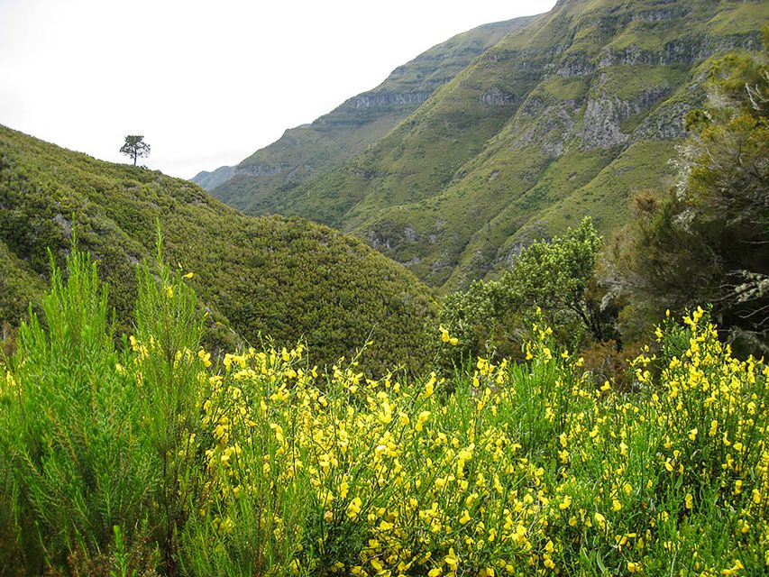 Madeira Day Trip: Levada Walk in the Rabaçal Valley - Preparation and Inclusions