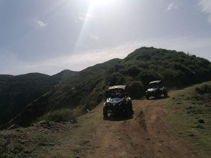 Madeira: Half-Day Off-Road Buggy Tour - Off-Roading and Panoramic Views