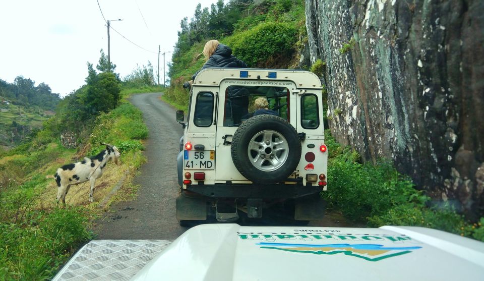 Madeira: Mini-Combo East Challenge: Jeep Safari Levada - Inclusions