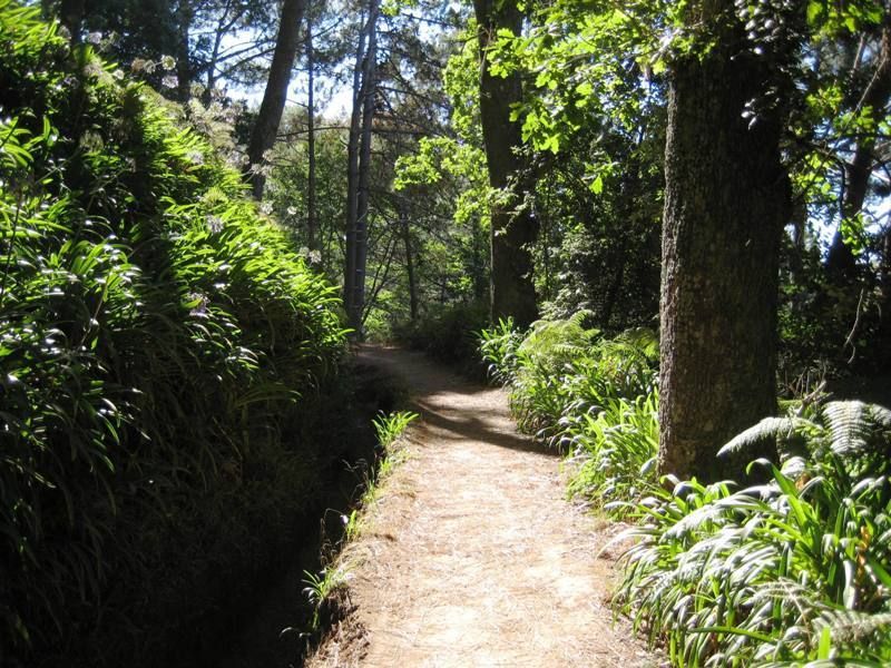 Madeira: Paradise Valley Levada Walk - Live Tour Guide Options