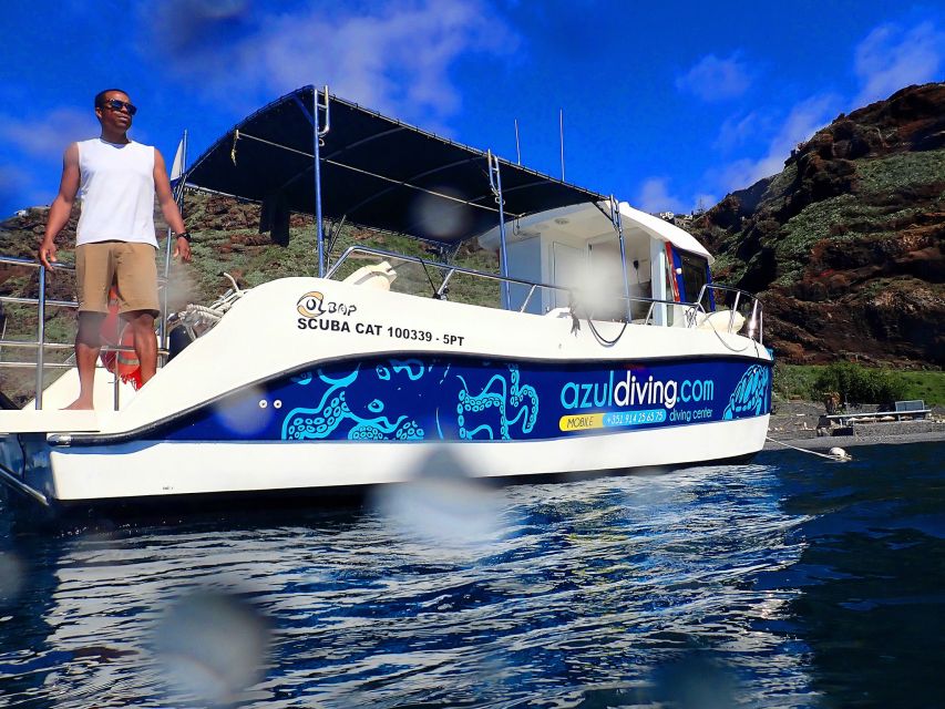 Madeira: Snorkeling Trip Marine Reserve of Garajau - Activity Highlights