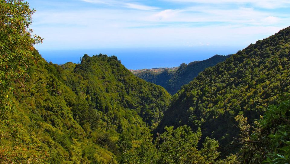 Madeira: Wildfires, Green Cauldron, and Levada Walk - Review Ratings