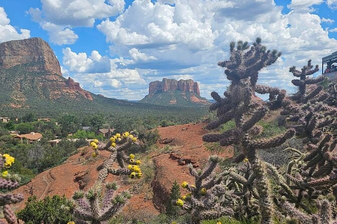 Magical Sedona Highlight Tour - Guides Expertise and Highlights